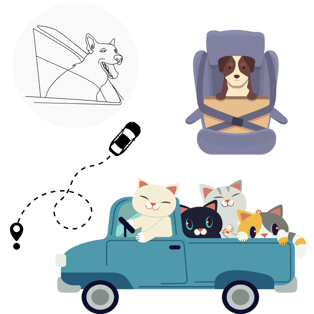 Pet Transportation by Car