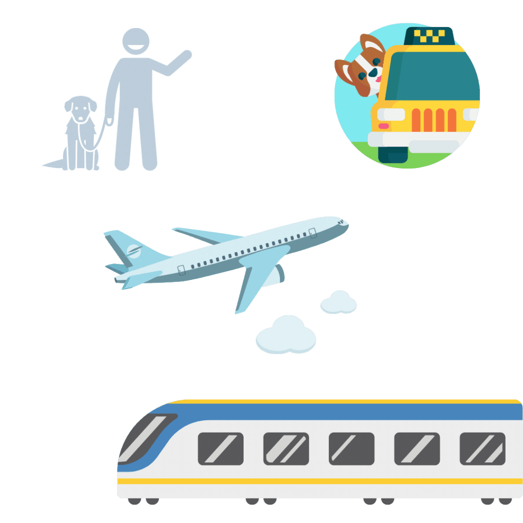 Pet Transportation Services Pet Boarding Service FidoJet