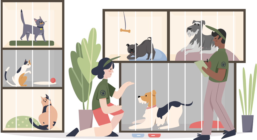 pet boarding services