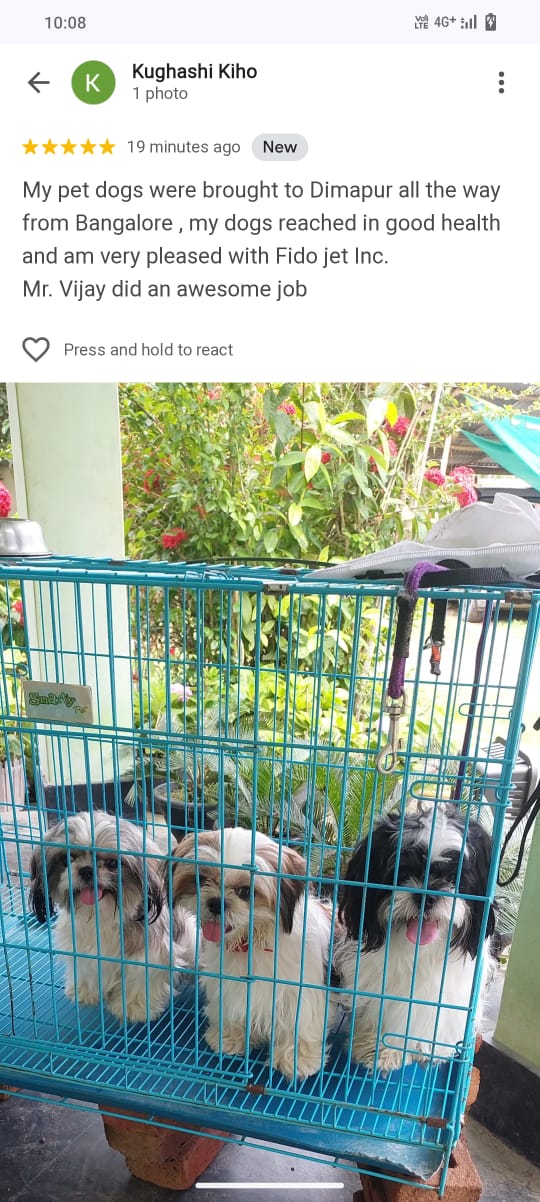 FidoJet Google Review Screenshot 1