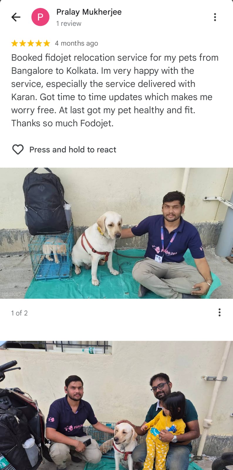 FidoJet Google Review Screenshot 4
