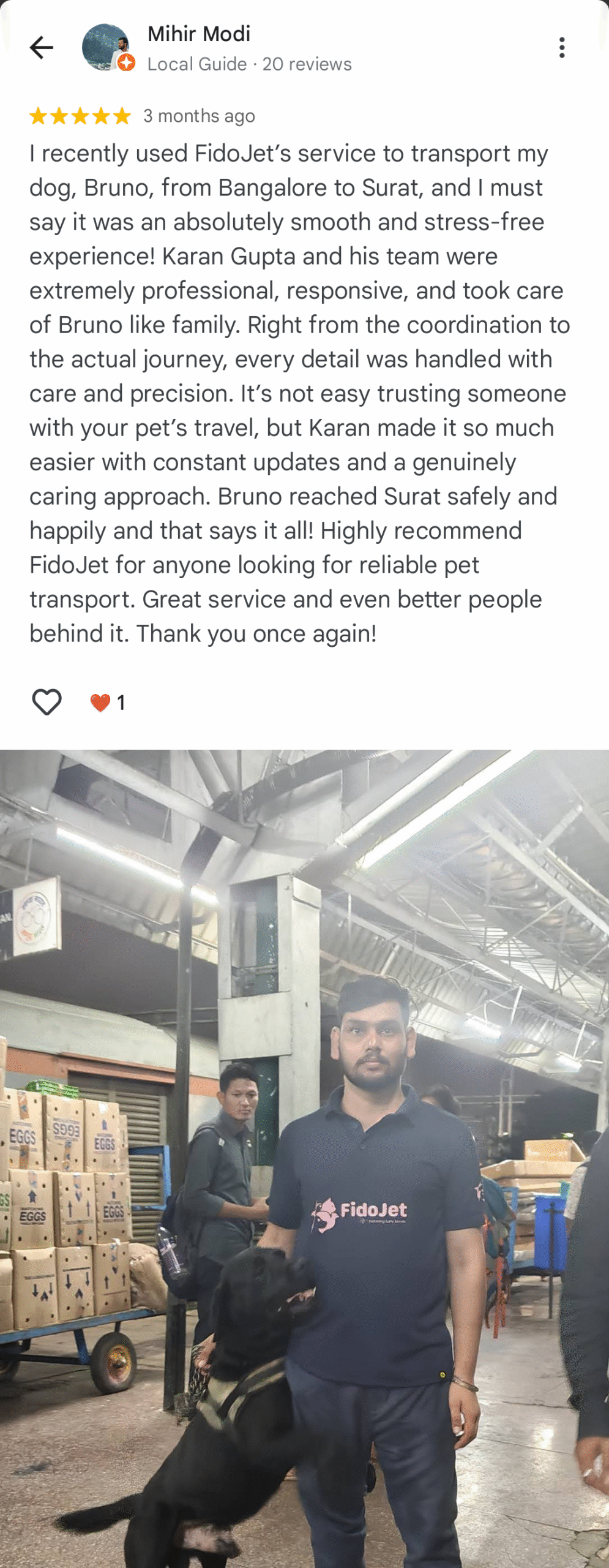 FidoJet Google Review Screenshot 2