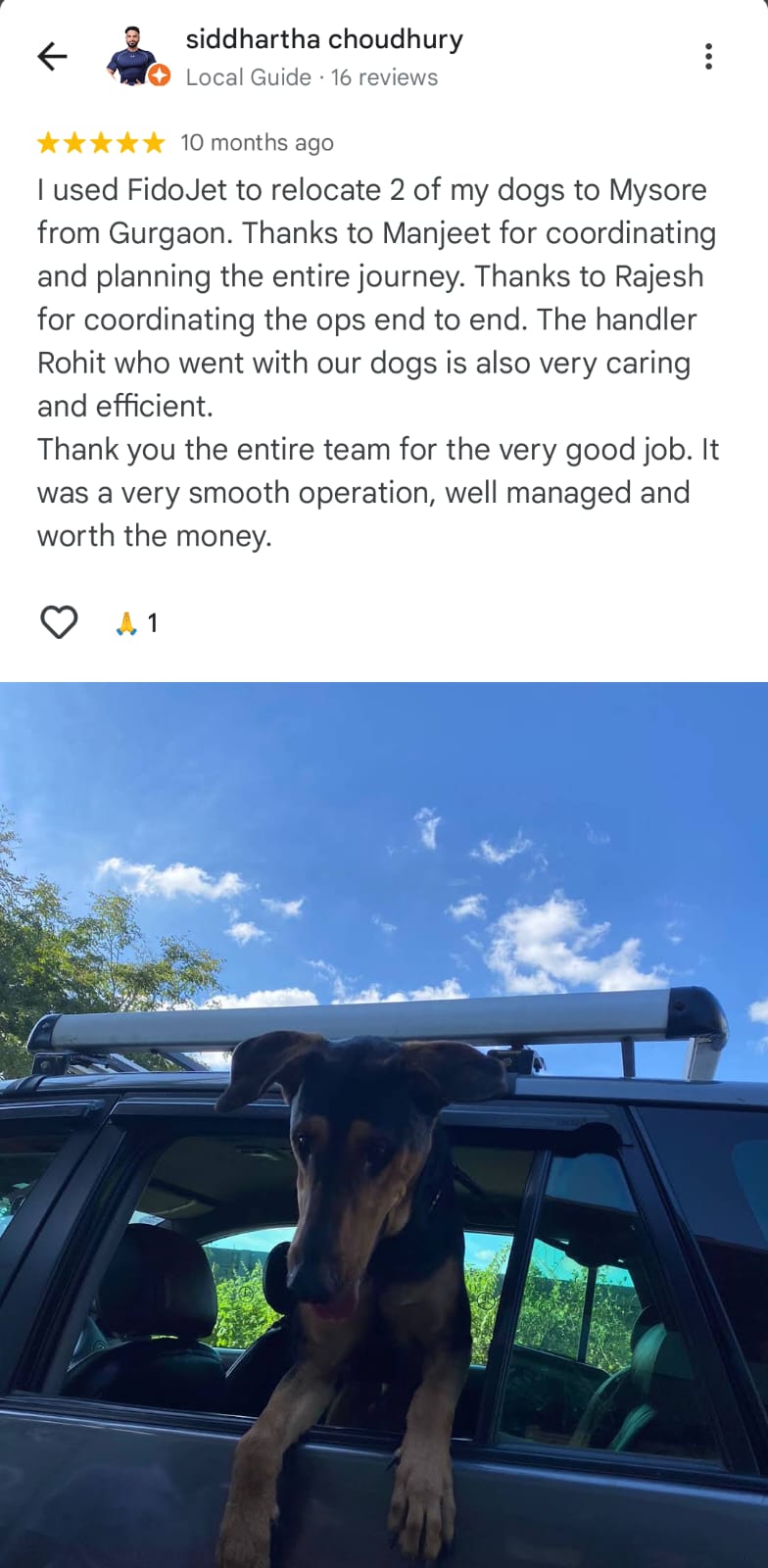 FidoJet Google Review Screenshot 3