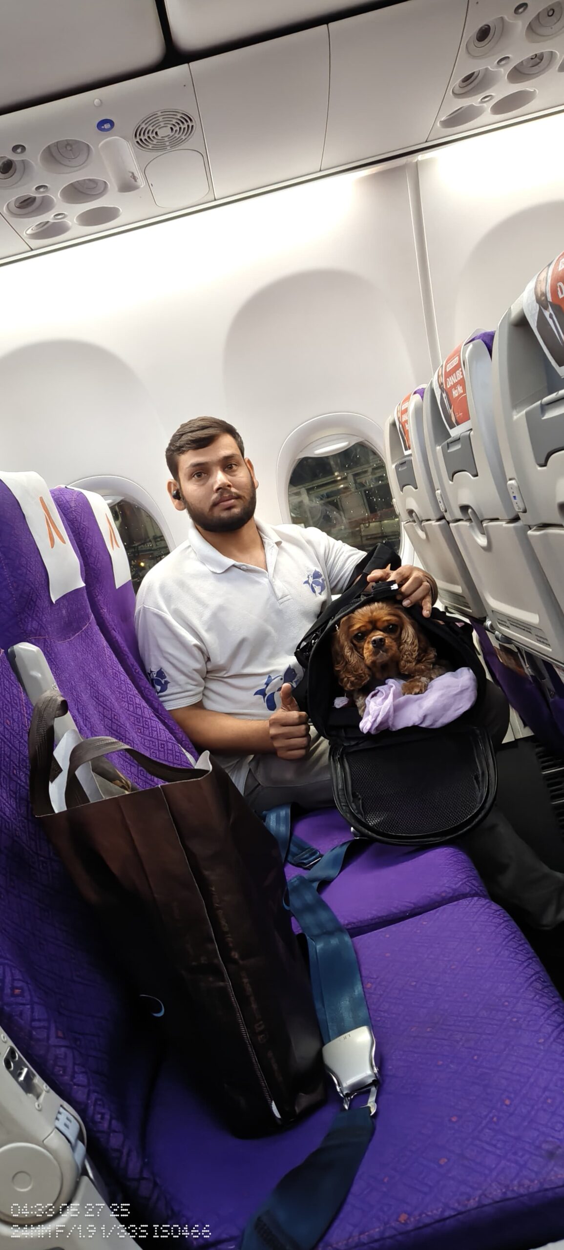 FidoJet Happy Pet Travel Moment