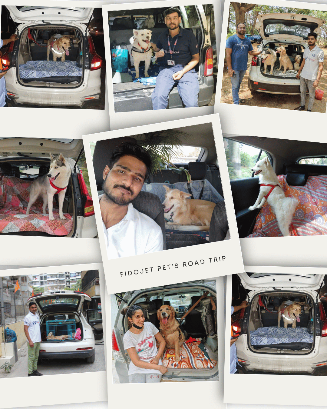 FidoJet Pet Taxi Road Transport India