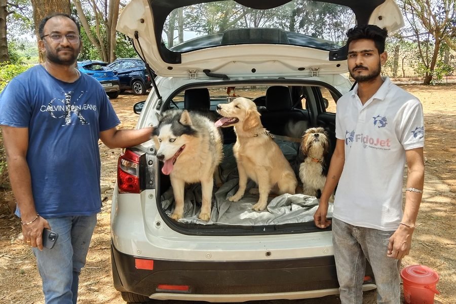 Two FidoJet handlers with three dogs — a husky, a golden retriever and a shih tzu — ready for a road relocation
