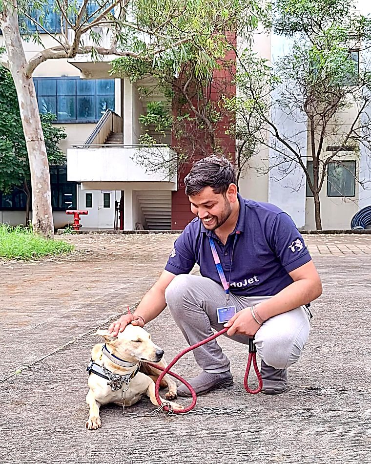 FidoJet handler comforting a dog before its flight home to India