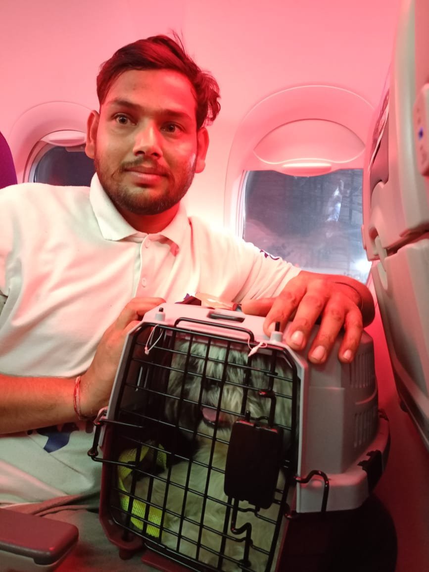 FidoJet handler seated in an aircraft cabin with a small dog in an in-cabin carrier