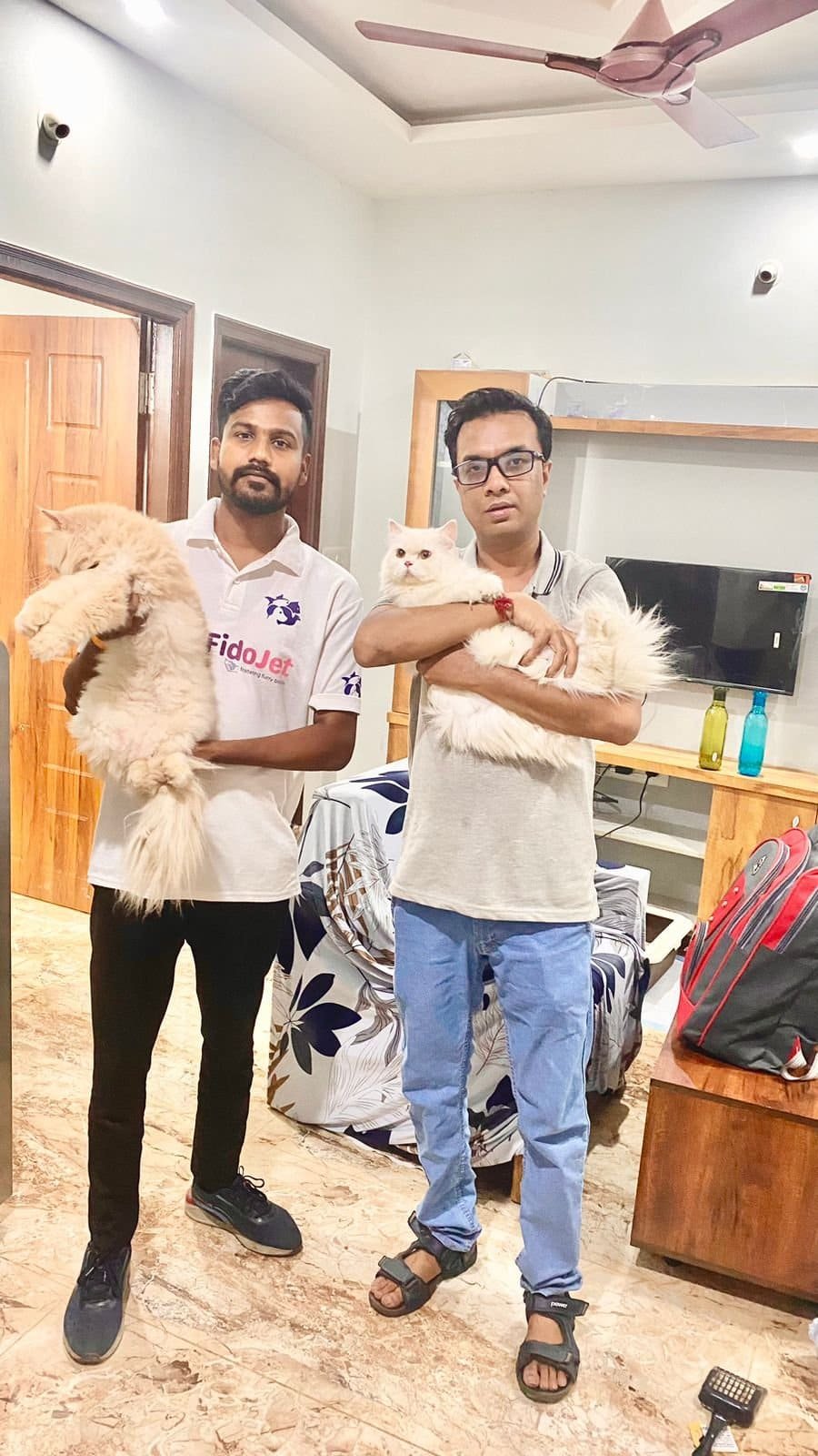 FidoJet handler and a pet parent holding two Persian cats during a home pickup