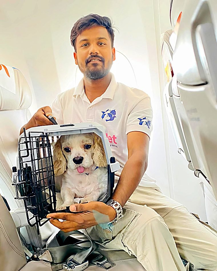 FidoJet handler settling a dog for its journey