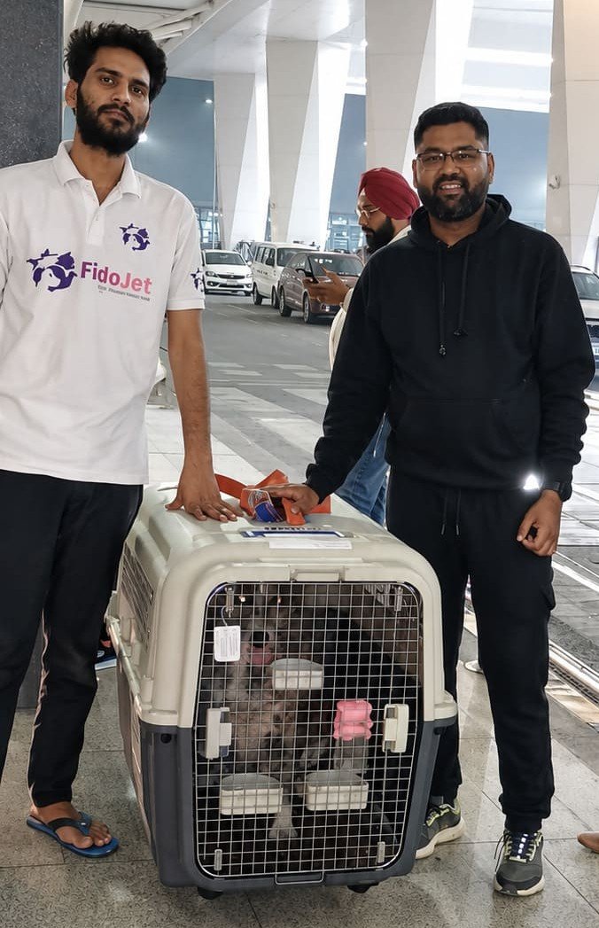 FidoJet handler and a pet parent with a dog in an IATA-compliant travel crate at the airport