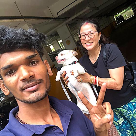 Chihuahua relocated by FidoJet