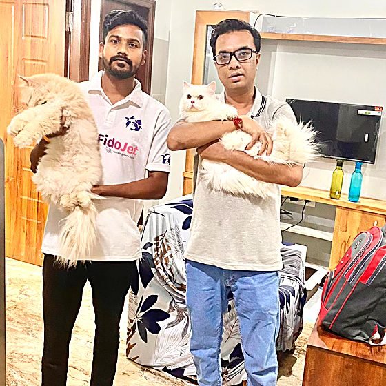 Persian cats relocated by FidoJet